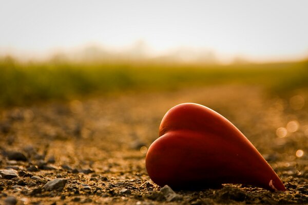 Quelque chose en forme de coeur est tombé sur la piste