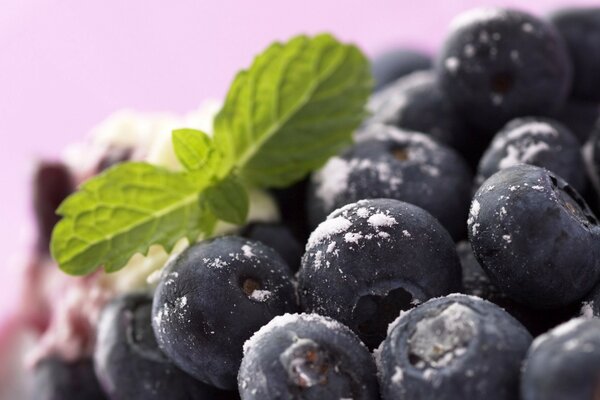 The benefits of blueberries for our vision