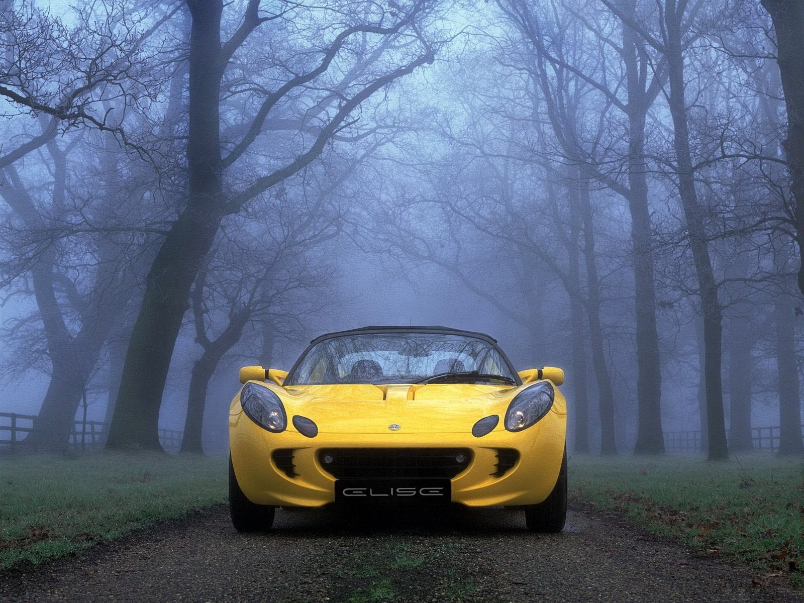 туман деревья желтый авто
