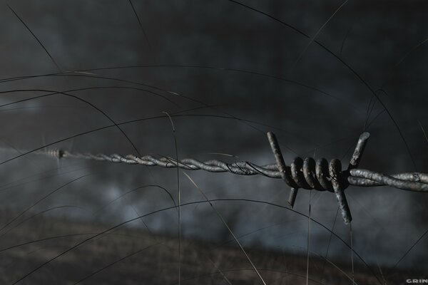 Key wire on a gray background