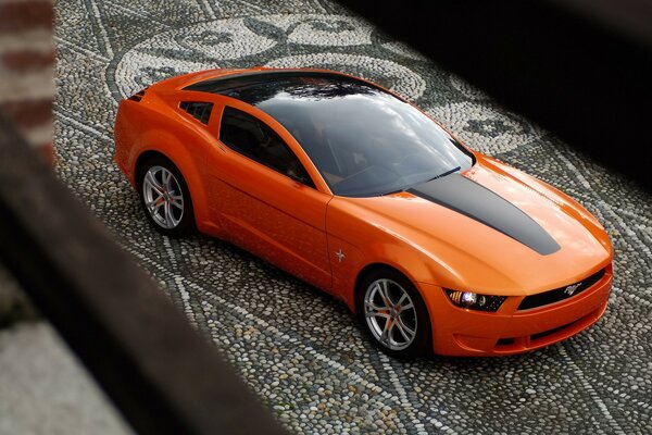 Ford Mustang sul buschatka del concetto giugiaro