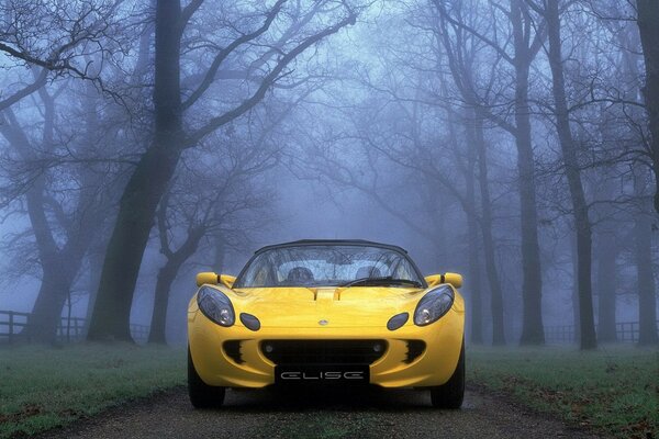 Yellow car among the trees in the fog