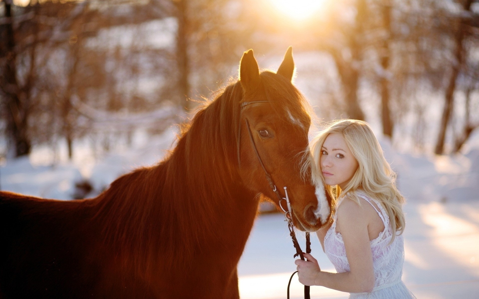 donna neve ragazza animale cavallo bionda