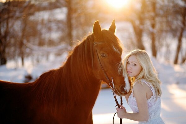 Winter aesthetics of a horse and a white-haired girl