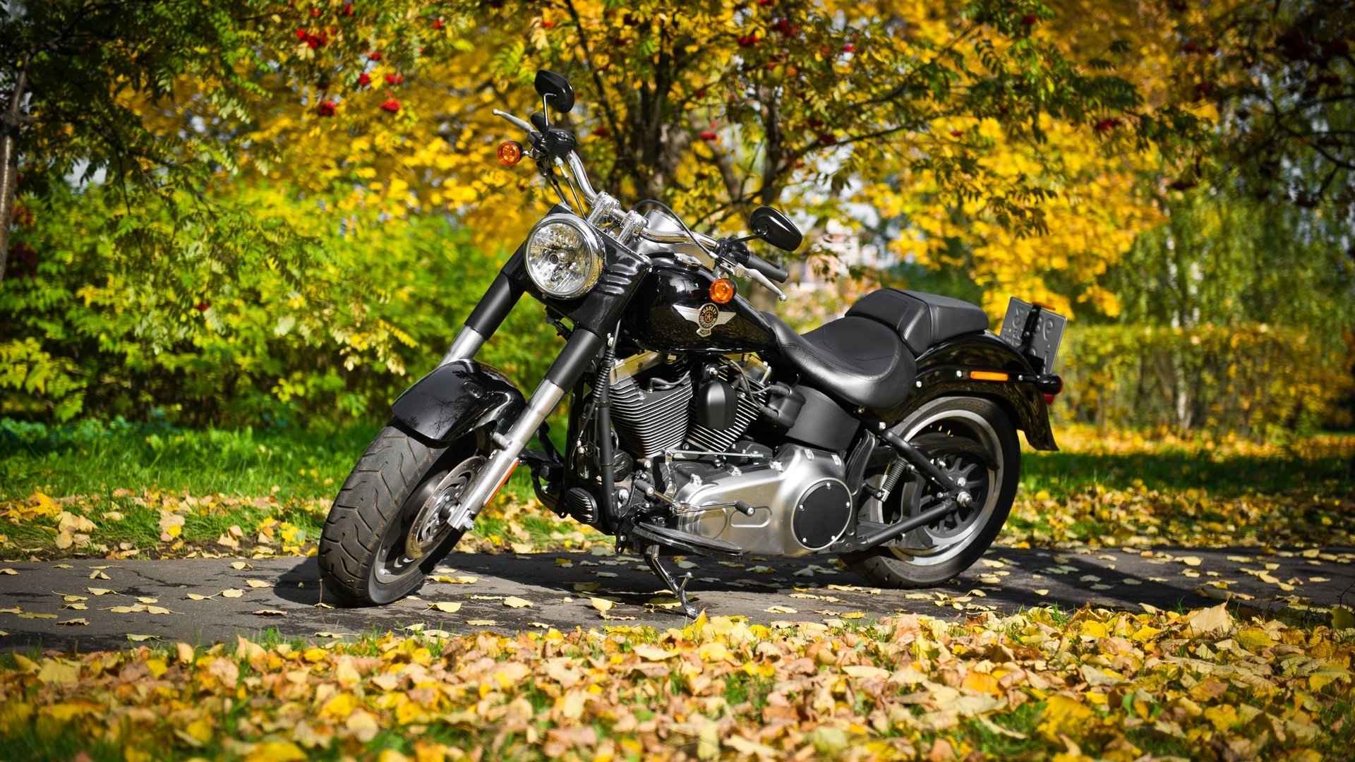 harley davidson fahrräder metall herbst