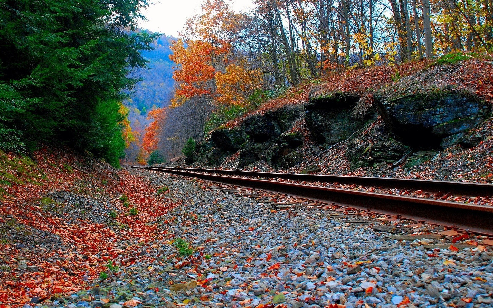 ferrocarril follaje bosque bosque caída de hojas poro dorado verano indio hojas rojas grava rieles