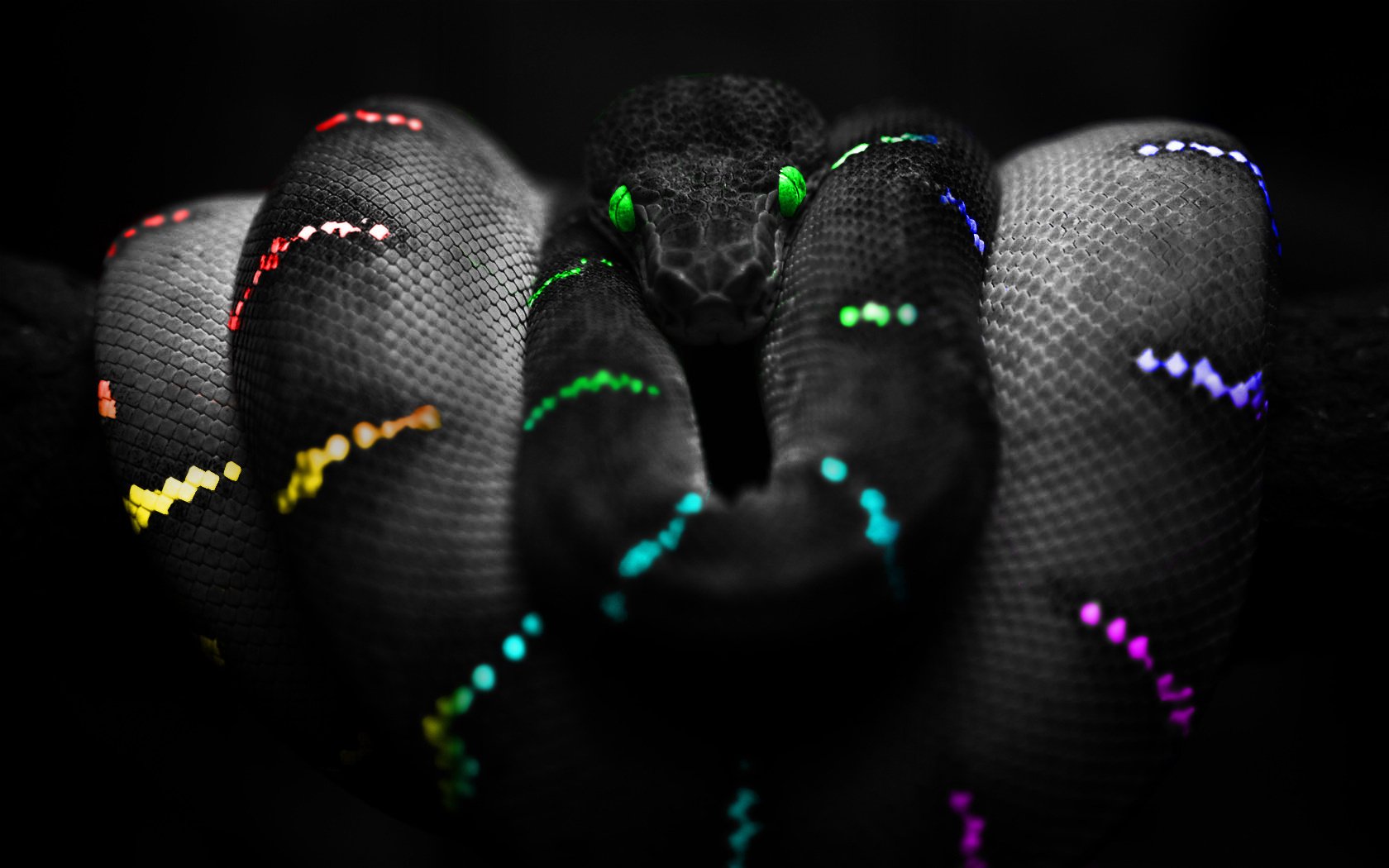 ojos verdes colours serpiente serpiente colores plasma ojos