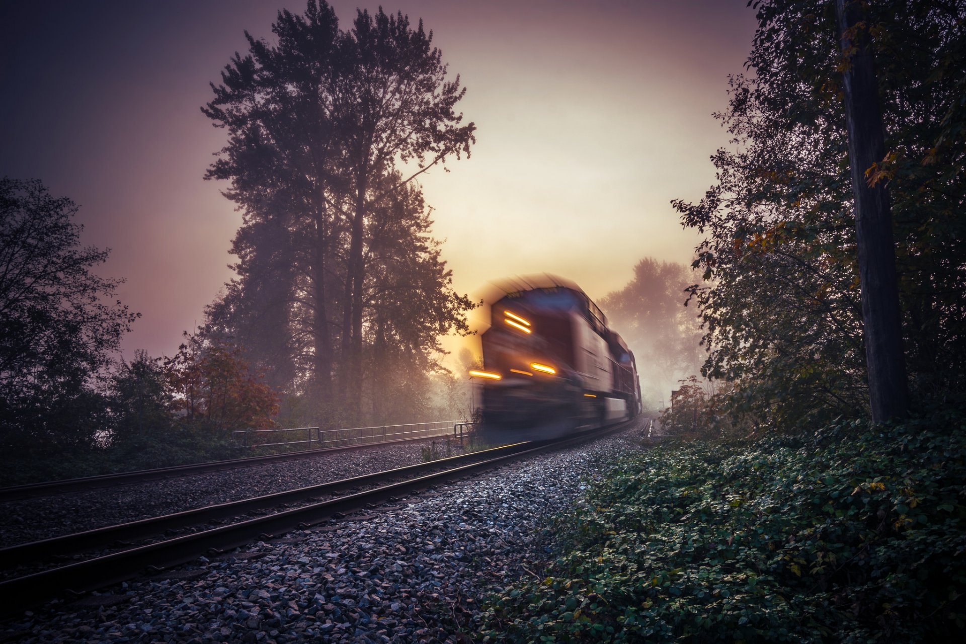 morning fog train