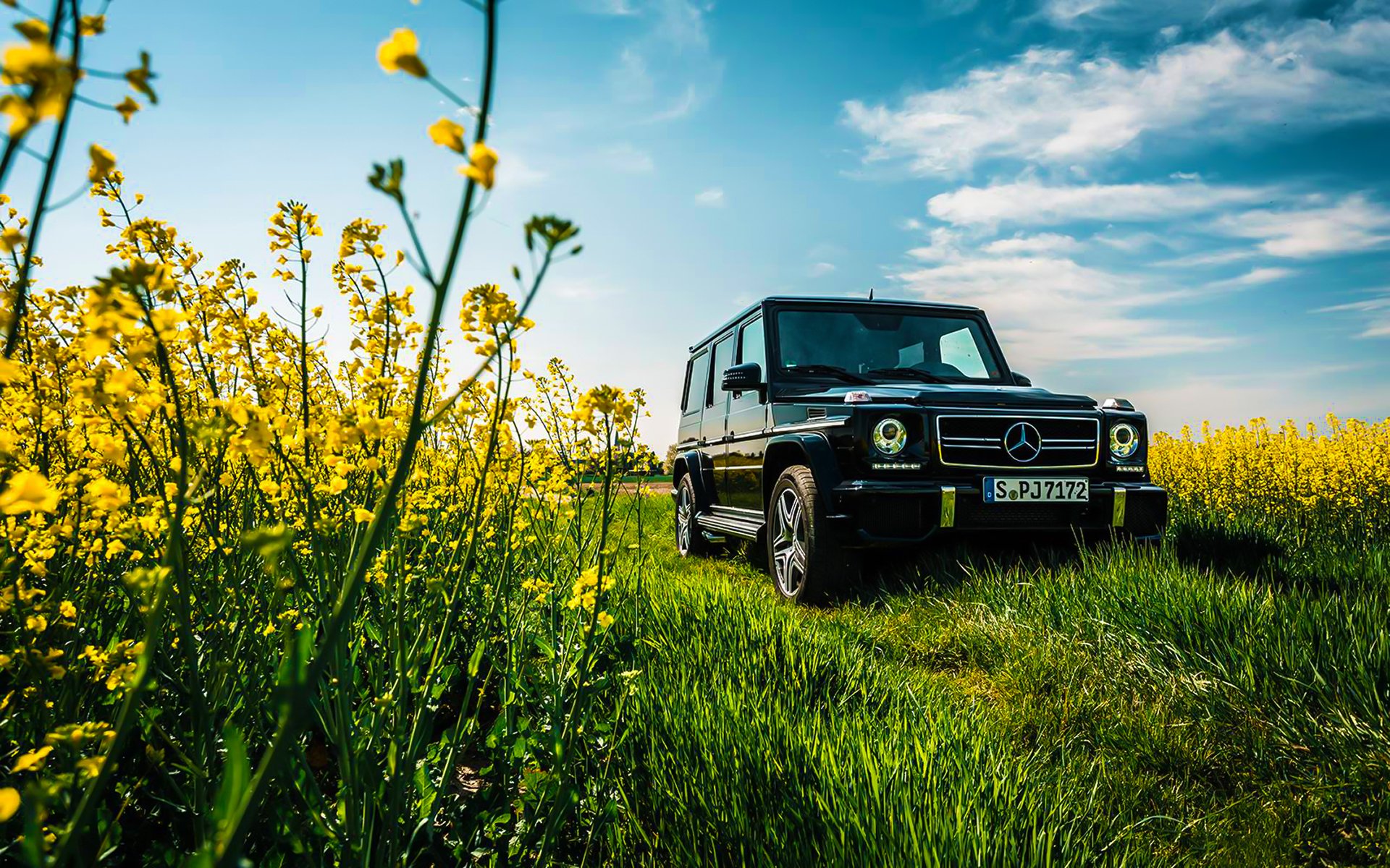 mercedes-benz g63 amg hierba verano flores cielo sol negro coche frente