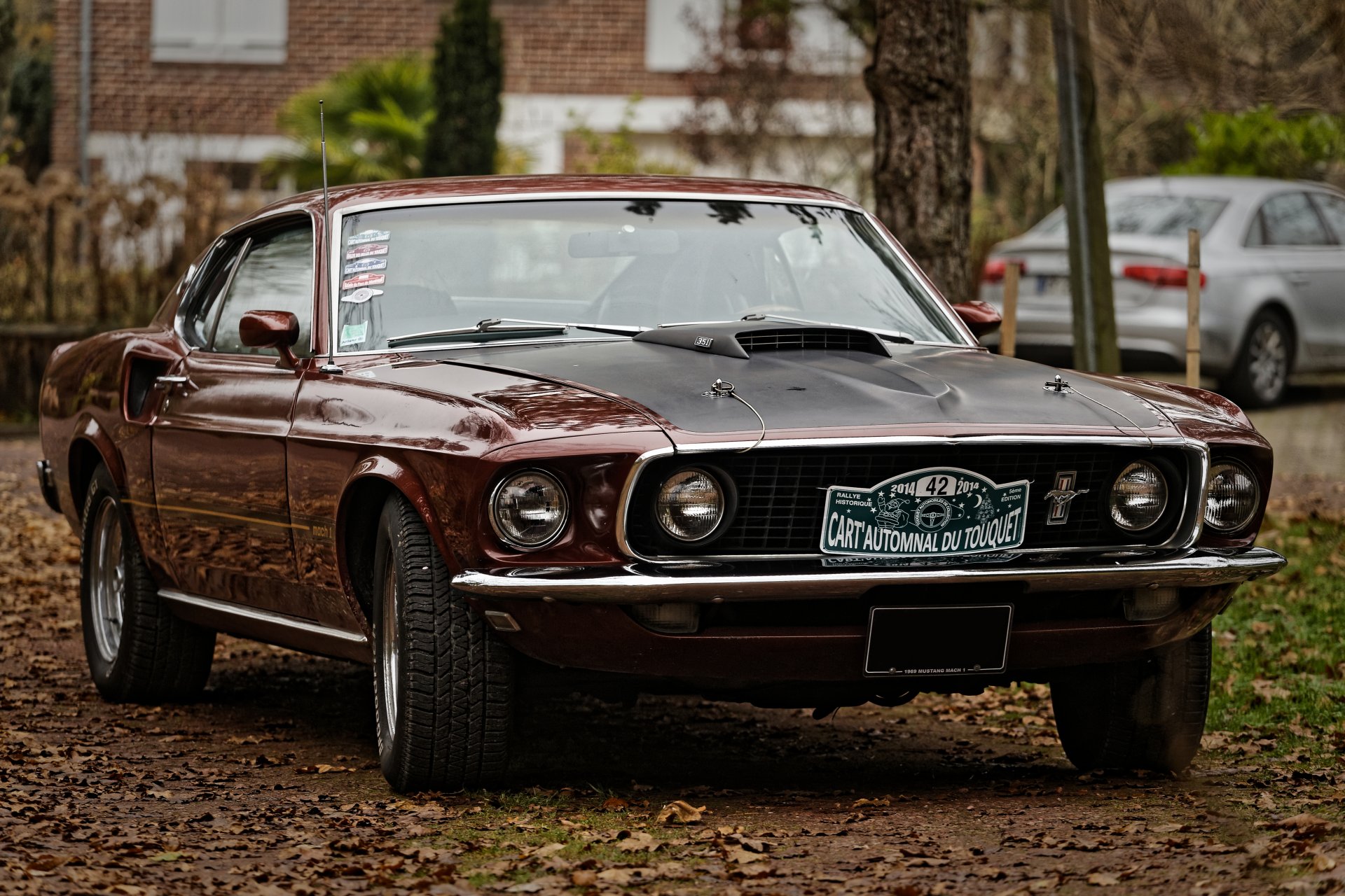 ford mustang przód muscle car muscle car