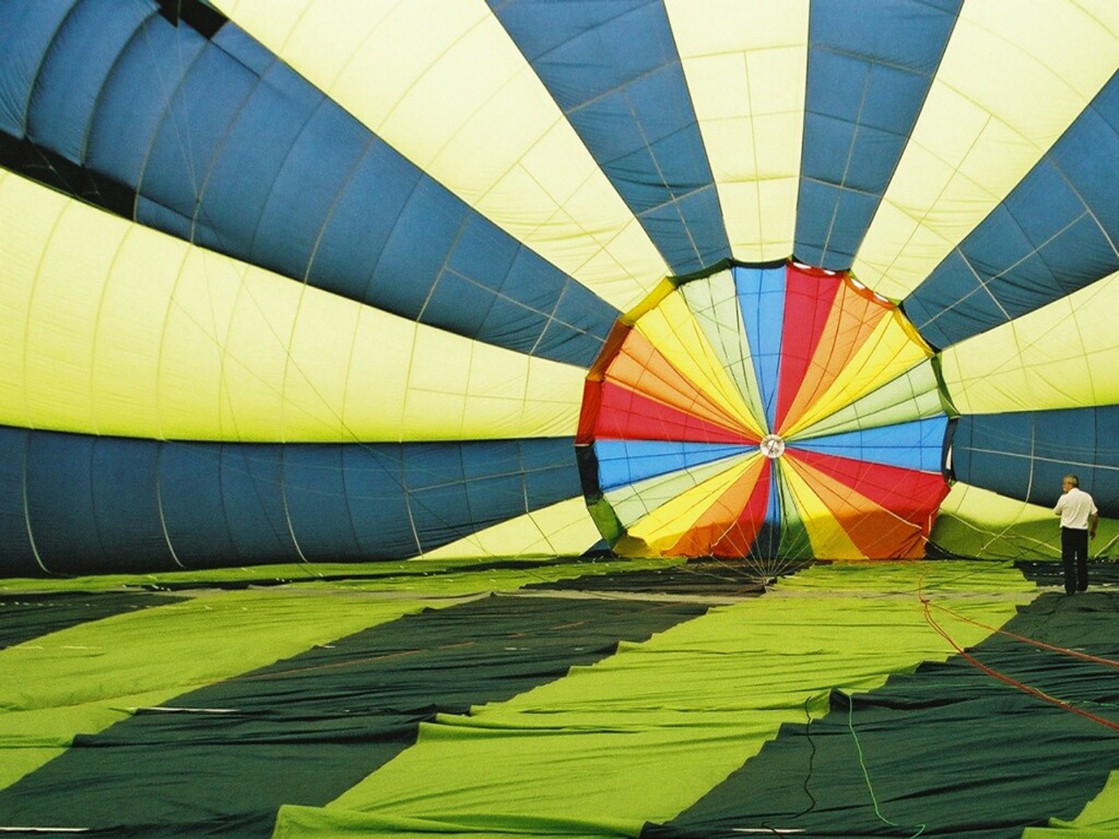 globo multicolor hermoso