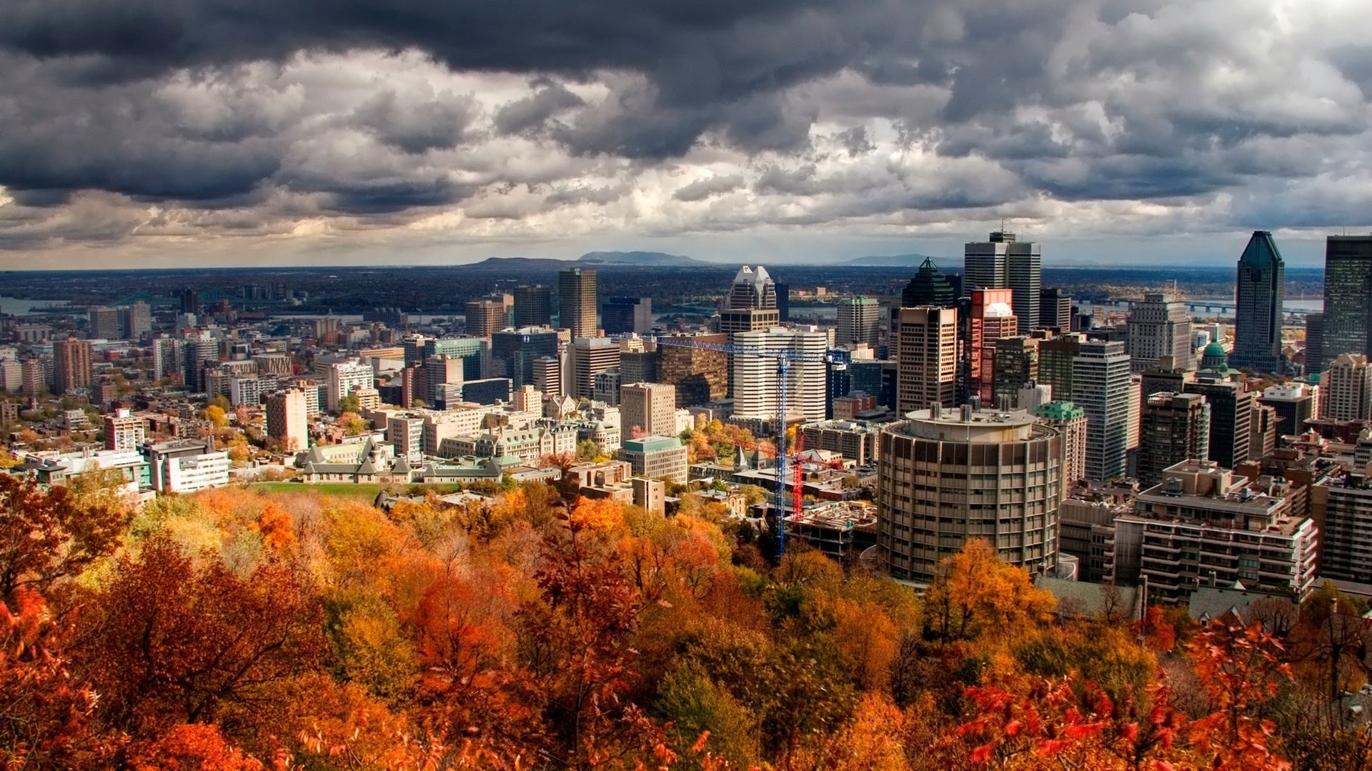 red yellow foliage foliage the city falling leaves golden time indian summer yellow leaves the colors of autumn clouds home the sky megapolis bad weather