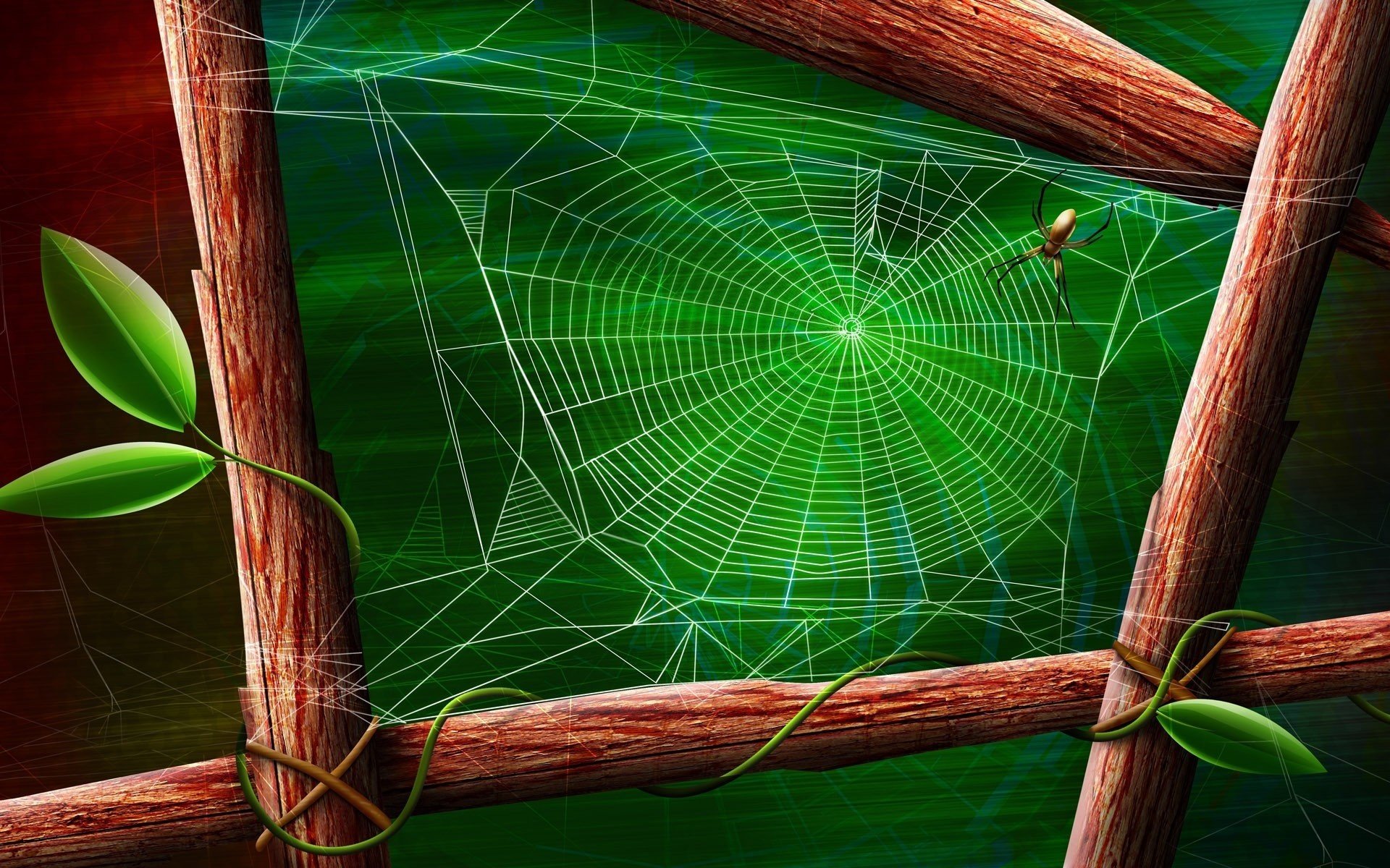 the branches of a tree square greens web spider drawing