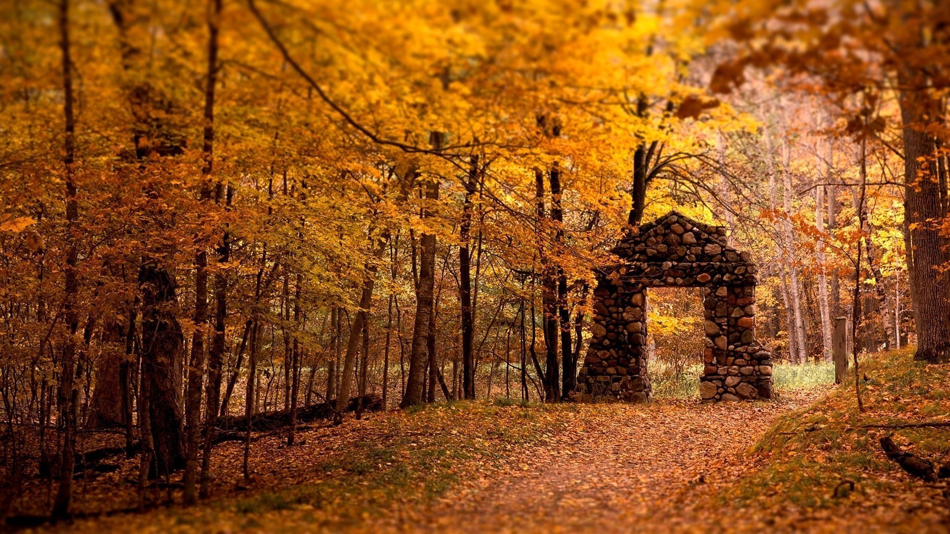 arco di pietra fogliame sul terreno autunno foresta caduta delle foglie periodo d oro estate indiana foglie gialle