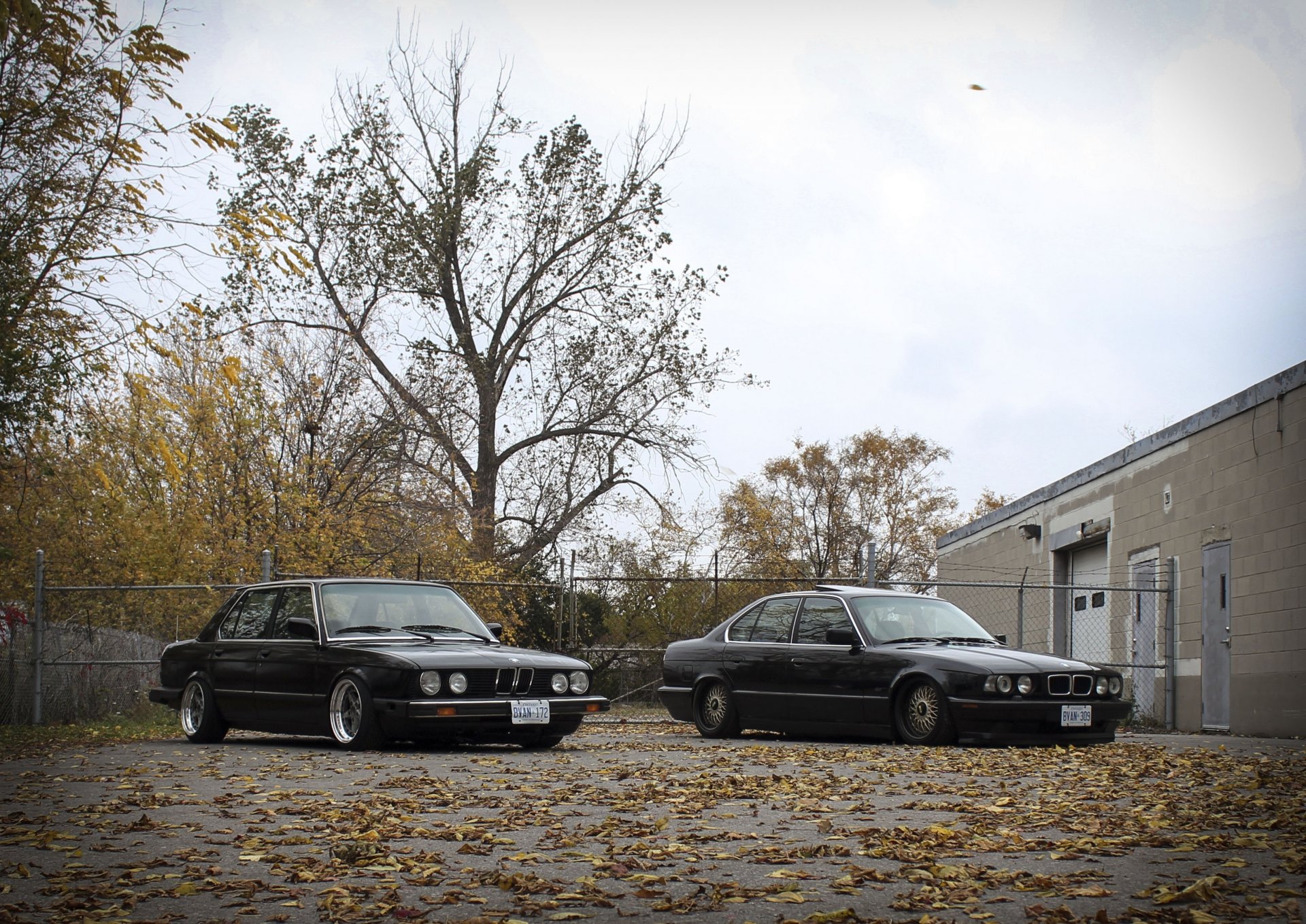 bmw e28 e34 posición tuning llantas bmw clásico otoño hojas