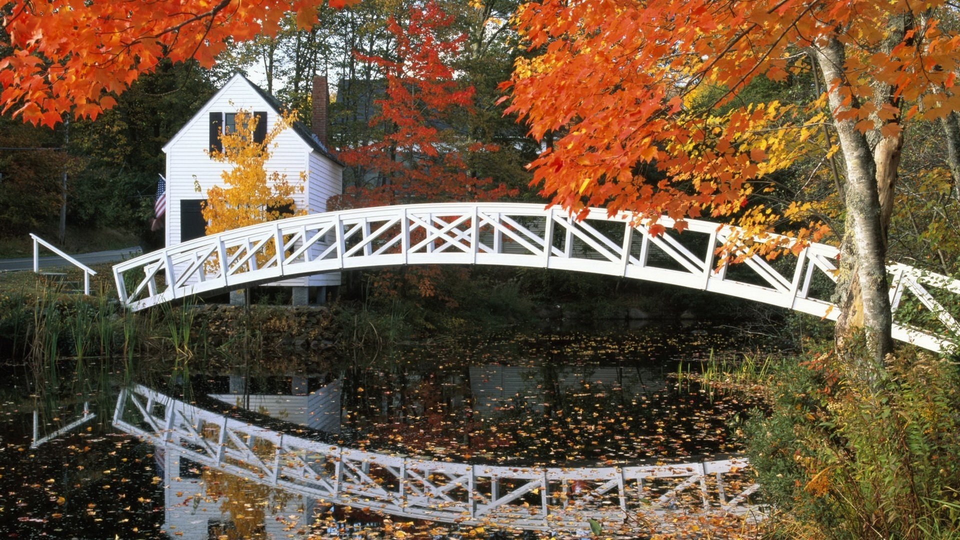 white bridge house water red leaves forest falling leaves golden time indian summer yellow leaves the colors of autumn