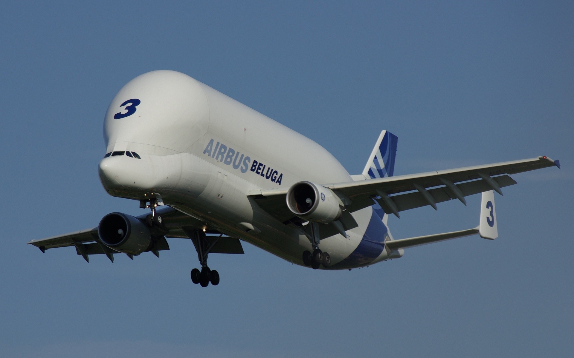 avión airbus beluga