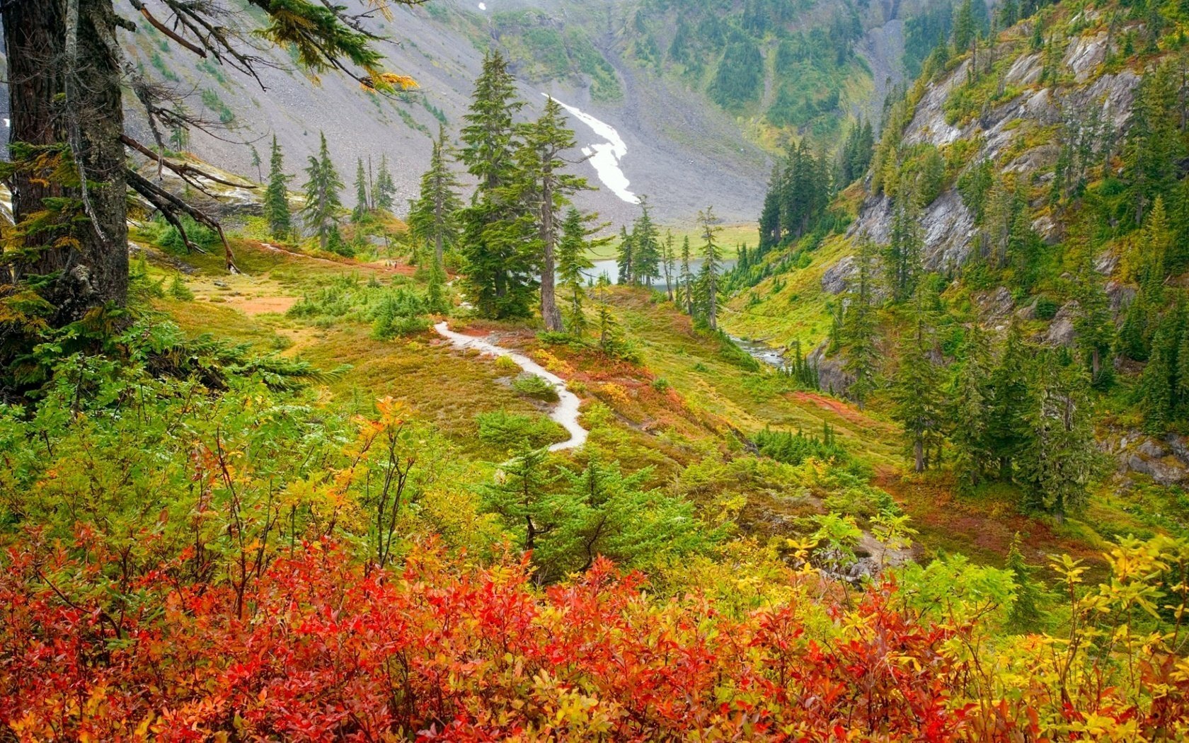 rotgelbe blätter wanderweg berge wald herbst landschaft natur ansicht laubfall goldene zeit sommer gelbe blätter