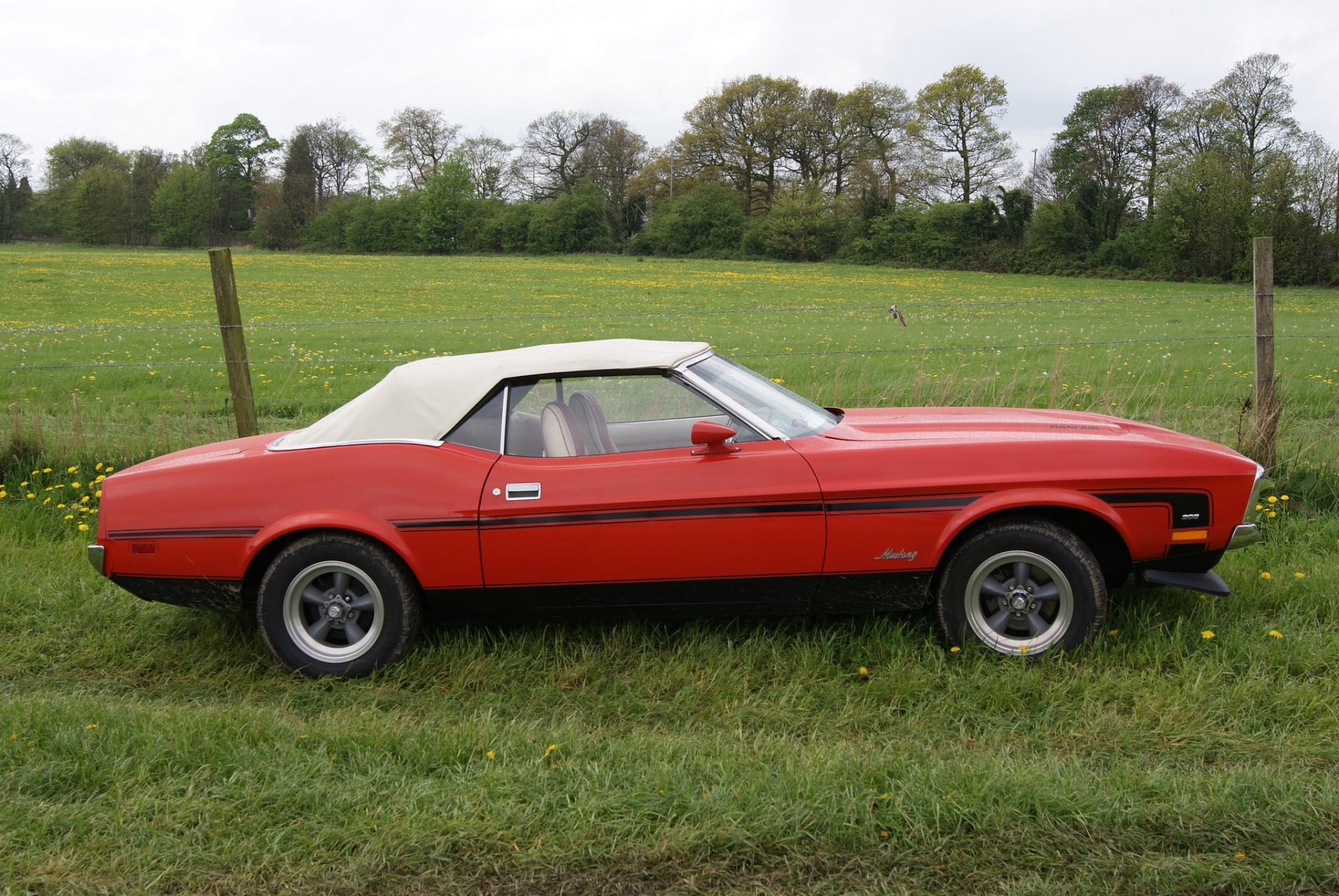 ford mustang 1973 muscle car classique nature