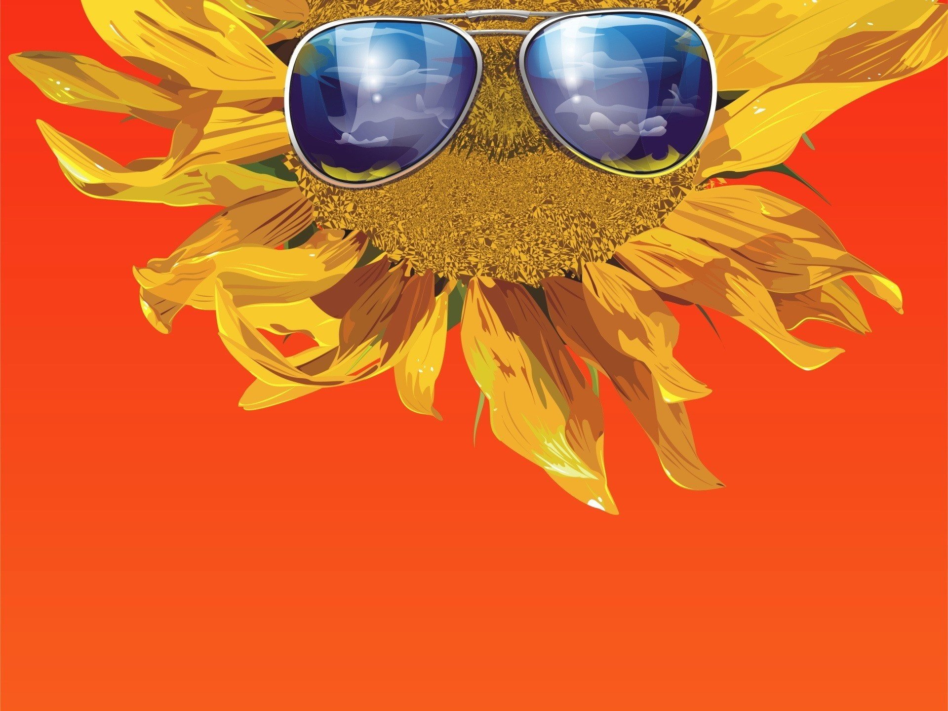 tournesol lunettes réflexion nuages créatif