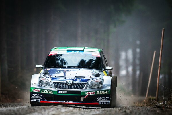 Rally en el bosque en un coche skoda