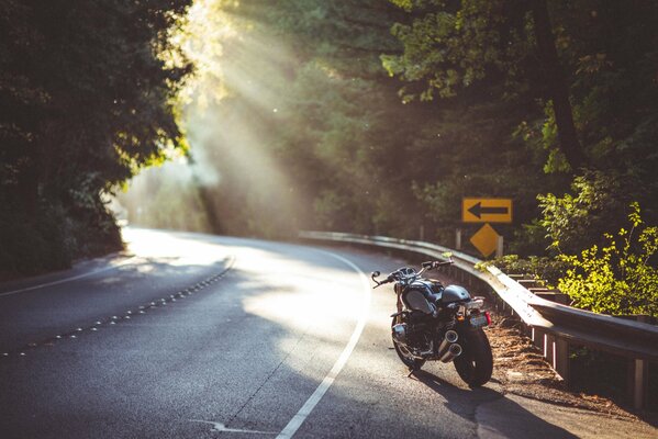 Motocykl w cieniu na drodze wśród lasu oświetlony słońcem