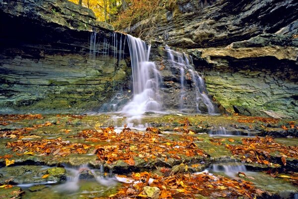 Schöner Wasserfall, der in Herbstlaub fällt