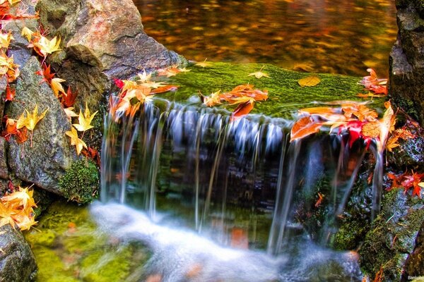 Cascata versante sullo sfondo di foglie colorate autunnali