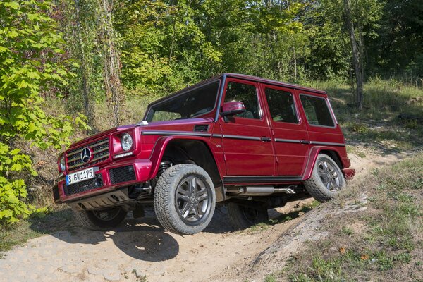 Rouge Mercedes-Benz hors route dans la forêt