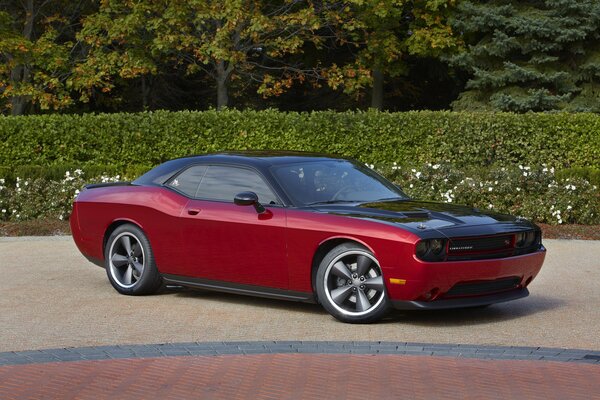 Дизайн dodge challenger гармония машины и природы