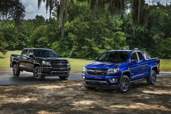 Camionetas Chevrolet negras y azules están en el borde del bosque