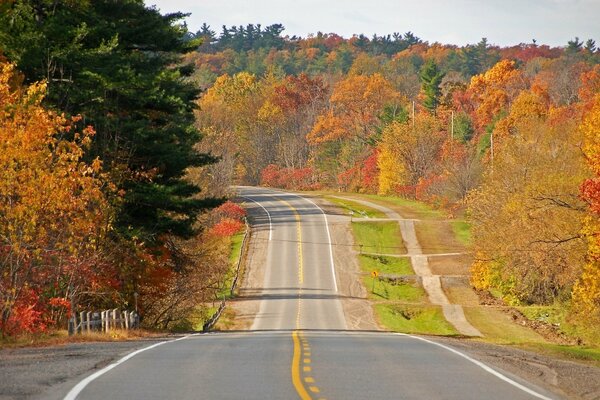 A long road. Colorful leaves. Melancholic music