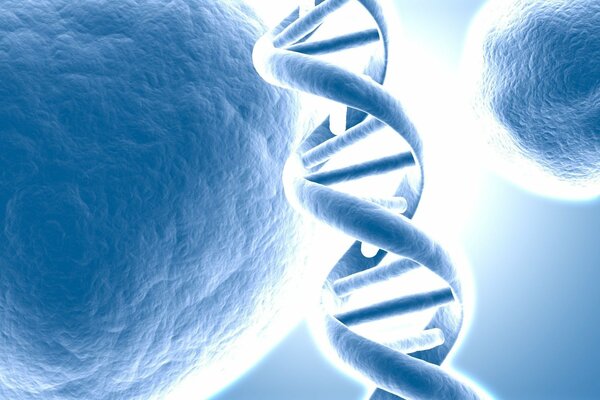 La spirale del DNA non è mai stata così romantica