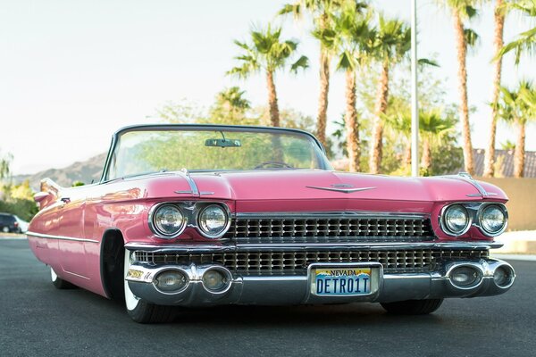 Das Cadillac Cabriolet von 1959. Rosa unter Palmen