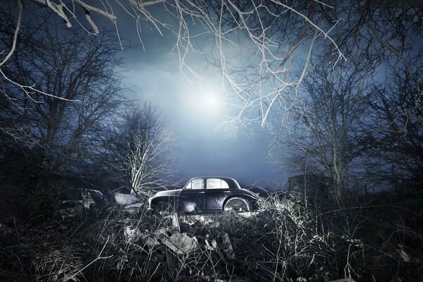 Petite voiture bleue dans la forêt sombre