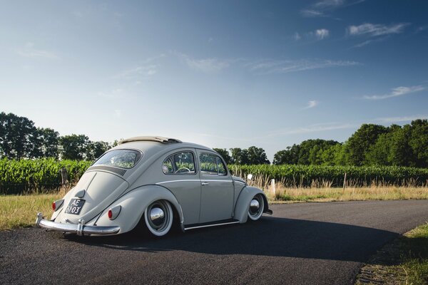 Volkswagen escarabajo con escotilla en el techo