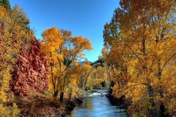 Ciel bleu et jaune, feuilles rouges