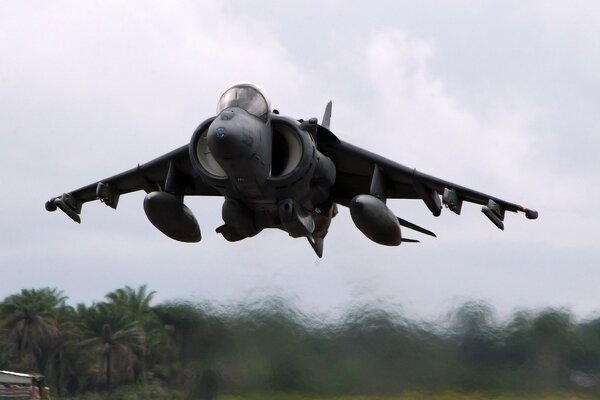 In the gray sky, a flying plane