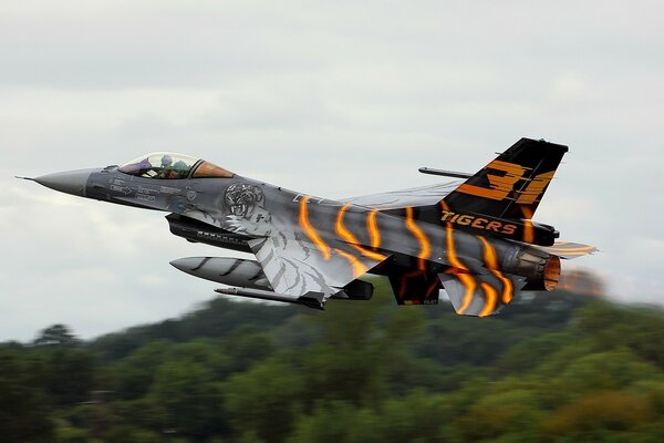 Samolot f-16 nieporównywalny Tygrys na niebie