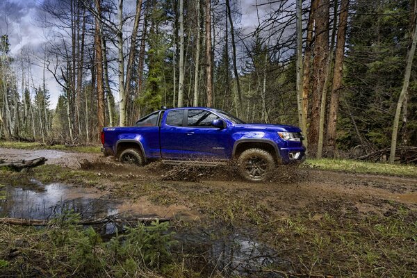 Jeep Chevrolet sur la route dans la forêt