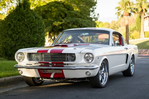 Ford Mustang blanco con una franja roja en el parachoques