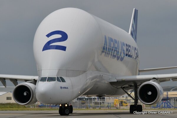 Aereo Beluga. Grande aereo. Aereo insolito. Aerobus