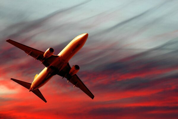 Un avión civil vuela en el cielo nocturno