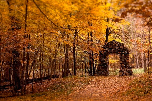 Stone arch in the autumn golden forest