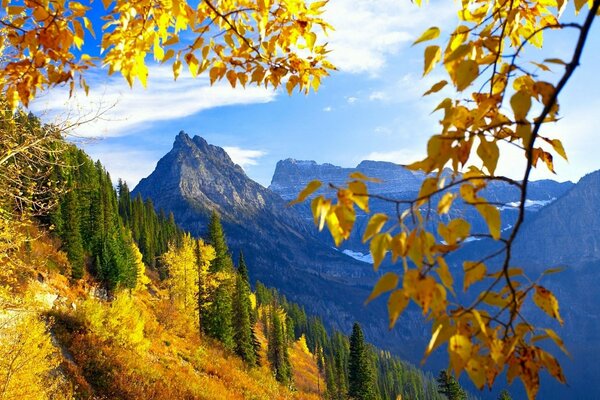 Berge, Wald und die Wunder des Herbstes