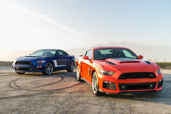 Two Ford mustangs on the playground at dawn