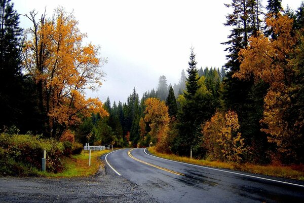 Rainy road in autumn
