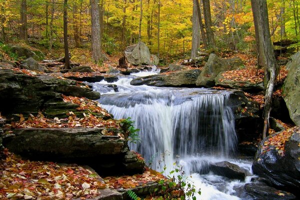 A mountain waterfall in the shade of an autumn forest