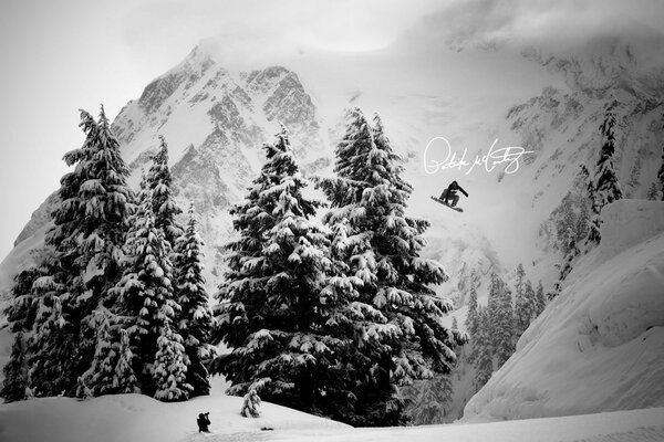 Snowboarder en las montañas de invierno entre los árboles de Navidad