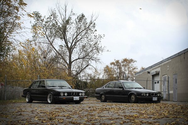 Zwei BMW-Klassiker vor dem Hintergrund des Herbstlaub-Fallens